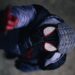 Campagne Gestart Door Spider-Man Fans Om De Integriteit Van de Spider-Verse Te Behouden