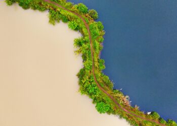 Het verkennen van de tegenstellingen: India vs. Indonesië