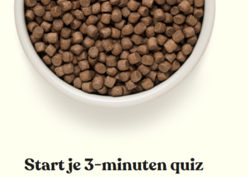 JustRussel NL: Een Geliefd Huisdiermerk in Nederland