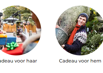 Bongo: De Perfecte Beleving voor Iedereen