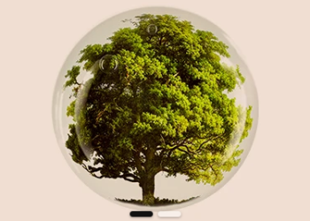 Perfumesclub: Jouw Nummer Één Bestemming voor Parfum en Beautyproducten