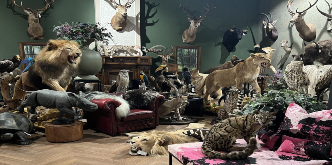 Bymax.nl: Dierenhuiden met Karakter voor een Warmer Interieur