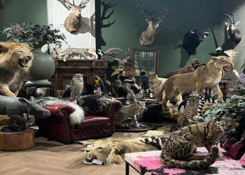 Bymax.nl: Dierenhuiden met Karakter voor een Warmer Interieur