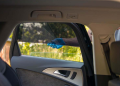 Solarplexius: slimme zonweringoplossingen voor auto’s zonder gedoe