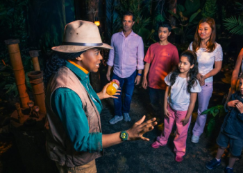 A Magical Family Adventure with The Paddington Bear Experience